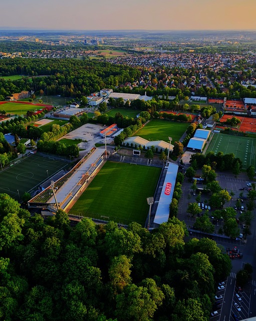 複製類似的 複製類似的